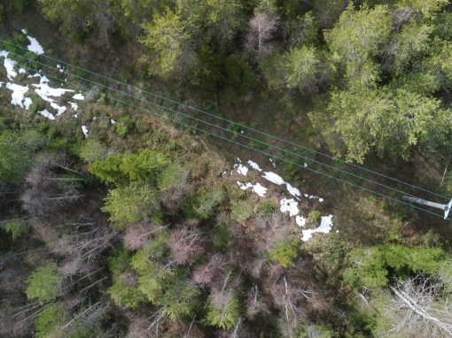 Power line inspection